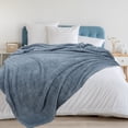 thumbnail image 1 of PiccoCasa Sherpa Throw Blanket Fluffy Fleece Lightweight Blanket Sofa Couch, Dusty Blue Twin, 1 of 6