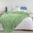 thumbnail image 1 of PiccoCasa Sherpa Throw Blanket Fluffy Fleece Lightweight Blanket Sofa Couch, Green, Queen, 1Pcs, 1 of 7
