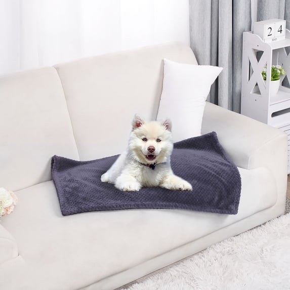 PiccoCasa Soft Microfiber Plush Flannel Blanket Luxury Bed Blanket Grape Purple, Cyber Pet (30"x40")