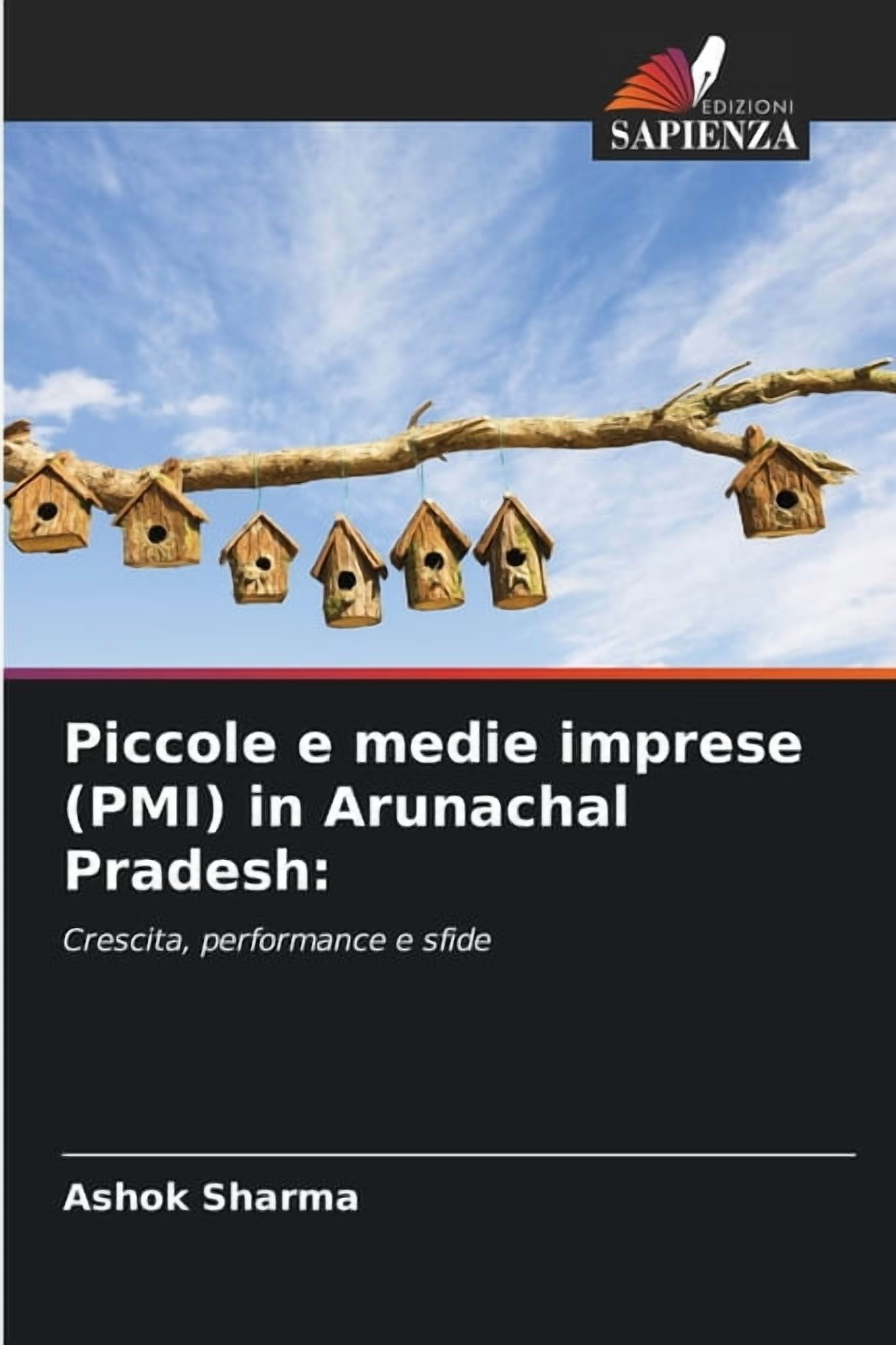 Piccole e medie imprese (PMI) in Arunachal Pradesh, (Paperback ...