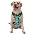thumbnail image 1 of Picia Alapaca in Boho No-Pull Dog Harness Reflective Front Clip Vest with Handle,Step-in Air Dog Harness,Adjustable 2 Metal Rings 4 Buckles,Easy to Put on & Take Off Medium, 1 of 9