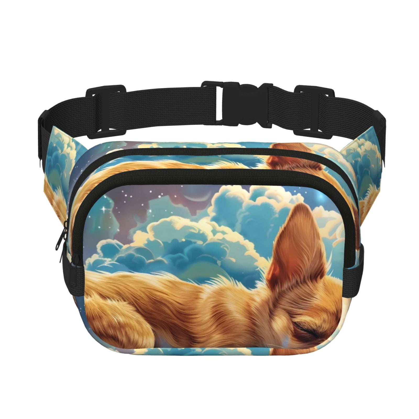 Picia Artistic Starry Sky Cloud Dog Print Square Double-Layer Waist Bag Mini Adjustable Waist Belt Bag Exercise Running Travel Hiking