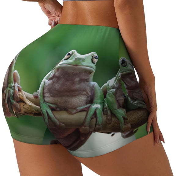 Picia Australian White Tree Frog Sitting on Branch Printed Workout Shorts for Women Seamless Scrunch Butt Lifting High Waisted Yoga Gym Booty Running Moisture-wicking Short Pants-X-Large