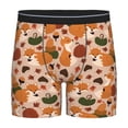 thumbnail image 1 of Picia Autumn Fox Pumpkin Lazy Pattern Men's Athletic Long Leg Briefs , Performance Stretch Underwear，Moisture-Wicking, 1 of 7