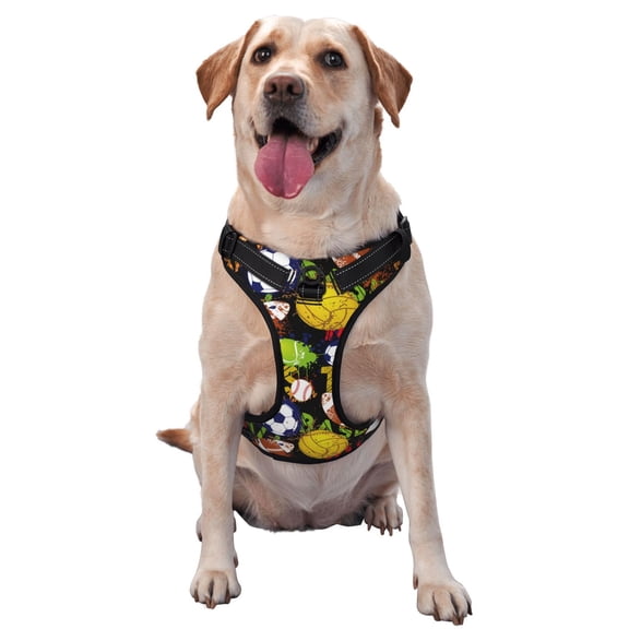 Picia Balls No-Pull Dog Harness Reflective Front Clip Vest with Handle,Step-in Air Dog Harness,Adjustable 2 Metal Rings 4 Buckles,Easy to Put on & Take Off Small