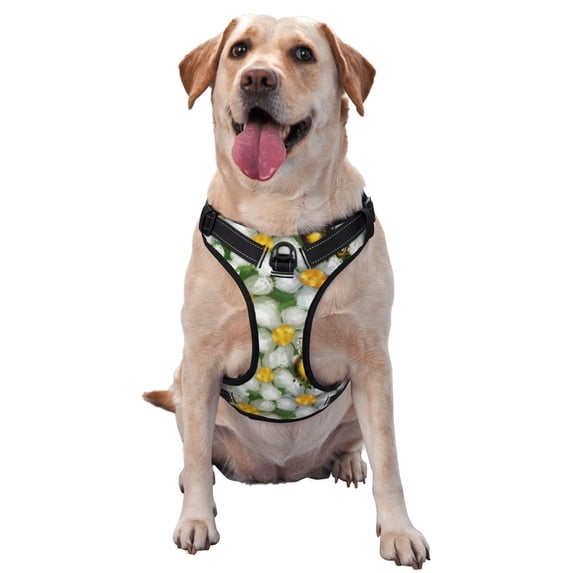 Picia Bees and Flower No-Pull Dog Harness Reflective Front Clip Vest with Handle,Step-in Air Dog Harness,Adjustable 2 Metal Rings 4 Buckles,Easy to Put on & Take Off