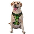 thumbnail image 1 of Picia Big Colorful Avocados No-Pull Dog Harness Reflective Front Clip Vest with Handle,Step-in Air Dog Harness,Adjustable 2 Metal Rings 4 Buckles,Easy to Put on & Take Off Medium, 1 of 9