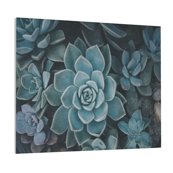 Picia Blue Color Cactus Pattern Decorative Picture – Unique Wall Art, Modern Canvas Print for Trendy Interiors (Horizontal)