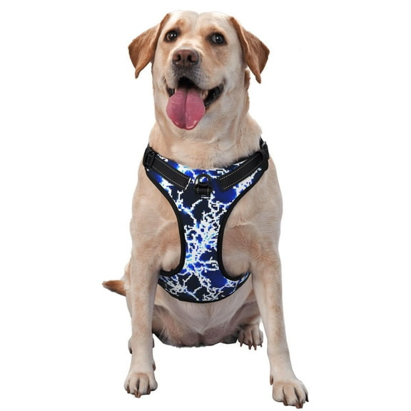 Picia Blue Lightning2 No-Pull Dog Harness Reflective Front Clip Vest with Handle,Step-in Air Dog Harness,Adjustable 2 Metal Rings 4 Buckles,Easy to Put on & Take Off Large