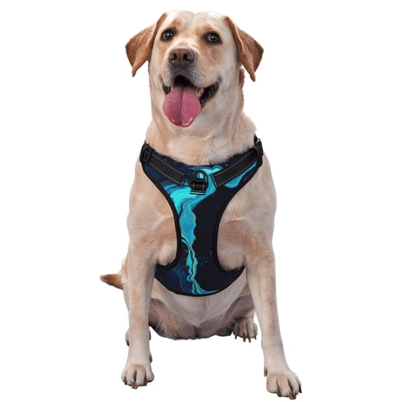 Picia Blue Marble And Gold No-Pull Dog Harness Reflective Front Clip Vest with Handle,Step-in Air Dog Harness,Adjustable 2 Metal Rings 4 Buckles,Easy to Put on & Take Off Medium