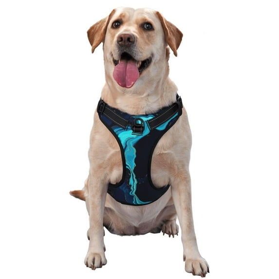 Picia Blue Marble And Gold No-Pull Dog Harness Reflective Front Clip Vest with Handle,Step-in Air Dog Harness,Adjustable 2 Metal Rings 4 Buckles,Easy to Put on & Take Off Large
