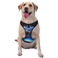thumbnail image 1 of Picia Blue Viper Snake No-Pull Dog Harness Reflective Front Clip Vest with Handle,Step-in Air Dog Harness,Adjustable 2 Metal Rings 4 Buckles,Easy to Put on & Take Off Medium, 1 of 9