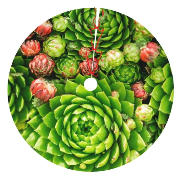 Picia Cactus And Succulents Print Christmas Tree Skirt , Christmas Tree Skirt Ornaments for Merry Christmas Holiday Party Decorations Indoor Outdoor-48"
