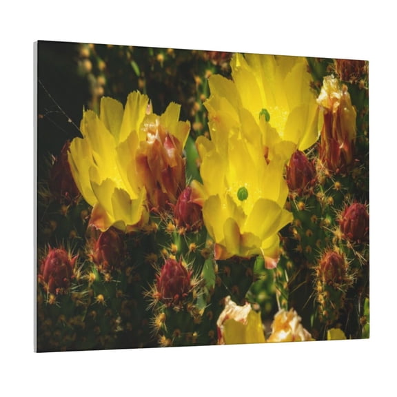 Picia Cactus Flowers Pattern Decorative Picture – Unique Wall Art, Modern Canvas Print for Trendy Interiors (Horizontal)