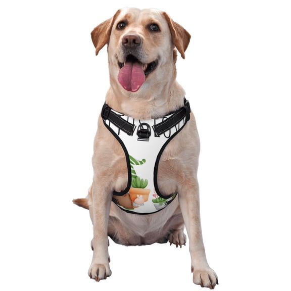 Picia Cactus Gnome No-Pull Dog Harness Reflective Front Clip Vest with Handle,Step-in Air Dog Harness,Adjustable 2 Metal Rings 4 Buckles,Easy to Put on & Take Off Large