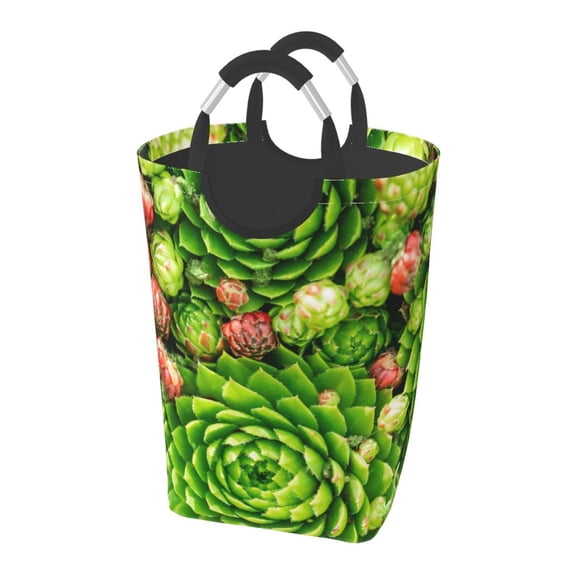 Picia Cactus And Succulents Laundry Basket With Handles Laundry Hamper Toys Storage Organizer Foldable Bucket Washing Bin Dirty Clothes Bag For Home Bathroom Bedroom Dorm