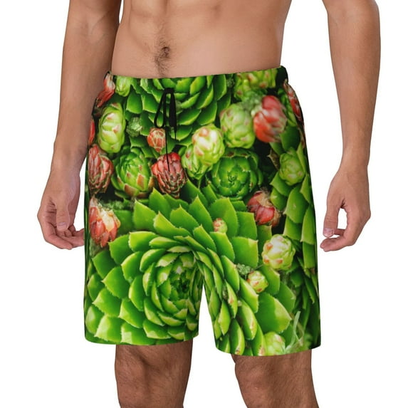 Picia Cactus And Succulents pattern Mens Swim Trunks with Compression Liner Stretch Beach Shorts Quick Dry with Zipper Pockets No-Chafing Board Shorts-Large