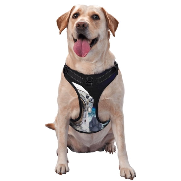 Picia Cat Astronaut No-Pull Dog Harness Reflective Front Clip Vest with Handle,Step-in Air Dog Harness,Adjustable 2 Metal Rings 4 Buckles,Easy to Put on & Take Off Small