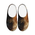 thumbnail image 1 of Picia Cat Fish Dance Vintage for Women's Lamb-hug Comfy Fleece House Slippers Memory Foam, Slip-on House Shoes Indoor Outdoor-37/38, 1 of 7