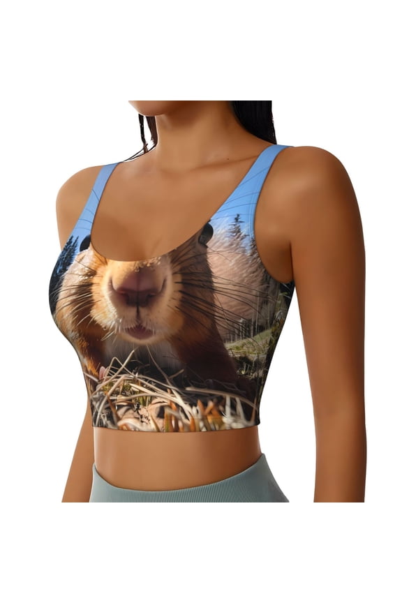 Close-Up Curious Squirrel Sports Bra for Women,Padded Strappy Sports Bras Medium Support Yoga Bra with Removable Cups,Running Yoga Bra-XX-Large