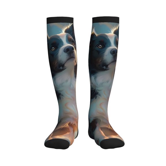 Picia Cloud Border Collie Printed Sports Compression Socks - 15-20mmHg Graduated Compression, High-Performance Soft and Breathable Socks for Men and Women