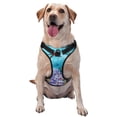 thumbnail image 1 of Picia Corals and Tropical Fish No-Pull Dog Harness Reflective Front Clip Vest with Handle,Step-in Air Dog Harness,Adjustable 2 Metal Rings 4 Buckles,Easy to Put on & Take Off, 1 of 9