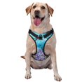 thumbnail image 1 of Picia Corals and Tropical Fish No-Pull Dog Harness Reflective Front Clip Vest with Handle,Step-in Air Dog Harness,Adjustable 2 Metal Rings 4 Buckles,Easy to Put on & Take Off Small, 1 of 9
