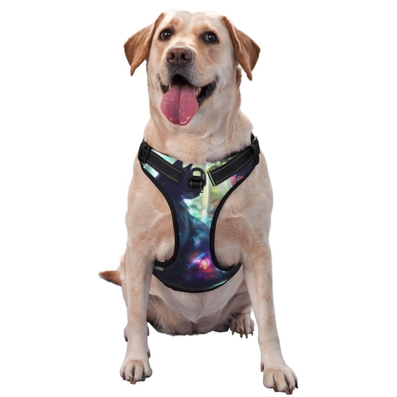 Picia Cosmic Cat In Window No-Pull Dog Harness Reflective Front Clip Vest with Handle,Step-in Air Dog Harness,Adjustable 2 Metal Rings 4 Buckles,Easy to Put on & Take Off Small