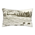 thumbnail image 1 of Picia Cows Grazing On Meadow Pattern Plush Pillow Case – Soft and Cozy Cushion Cover, Hypoallergenic Throw Pillow Case for Home Decor-14"x20", 1 of 6