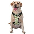 thumbnail image 1 of Picia Cute Chubby Frog No-Pull Dog Harness Reflective Front Clip Vest with Handle,Step-in Air Dog Harness,Adjustable 2 Metal Rings 4 Buckles,Easy to Put on & Take Off Large, 1 of 9