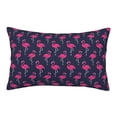 thumbnail image 1 of Picia Cute Flamingo Pattern Plush Pillow Case – Soft and Cozy Cushion Cover, Hypoallergenic Throw Pillow Case for Home Decor-16"x24", 1 of 6