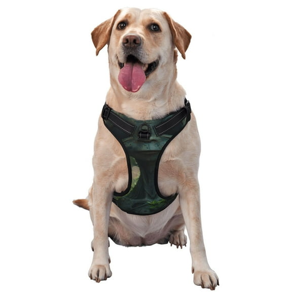 Picia Cute Saucerman With Big Eyes No-Pull Dog Harness Reflective Front Clip Vest with Handle,Step-in Air Dog Harness,Adjustable 2 Metal Rings 4 Buckles,Easy to Put on & Take Off Large