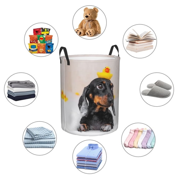 Picia Dachshund Sitting in Bathtub Large Laundry Basket, Waterproof, Freestanding Laundry Hamper, Collapsible Tall Clothes Hamper with Extended Handles-Small