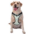 thumbnail image 1 of Picia Different Breeds of Dogs No-Pull Dog Harness Reflective Front Clip Vest with Handle,Step-in Air Dog Harness,Adjustable 2 Metal Rings 4 Buckles,Easy to Put on & Take Off X-Large, 1 of 9