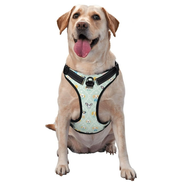Picia Different Breeds of Dogs No-Pull Dog Harness Reflective Front Clip Vest with Handle,Step-in Air Dog Harness,Adjustable 2 Metal Rings 4 Buckles,Easy to Put on & Take Off X-Large