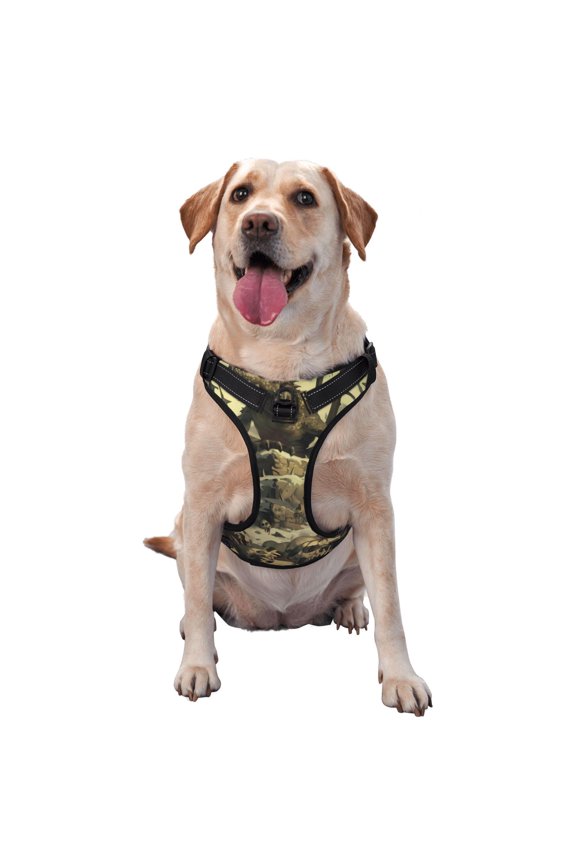 Epic Dragon Skull Scene No-Pull Dog Harness Reflective Front Clip Vest with Handle,Step-in Air Dog Harness,Adjustable 2 Metal Rings 4 Buckles,Easy to Put on & Take Off Medium