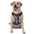 thumbnail image 1 of Picia Flowers ad Butterflies No-Pull Dog Harness Reflective Front Clip Vest with Handle,Step-in Air Dog Harness,Adjustable 2 Metal Rings 4 Buckles,Easy to Put on & Take Off Large, 1 of 9