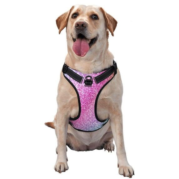 Picia Fun Rainbow Pink No-Pull Dog Harness Reflective Front Clip Vest with Handle,Step-in Air Dog Harness,Adjustable 2 Metal Rings 4 Buckles,Easy to Put on & Take Off Large