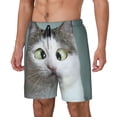 thumbnail image 1 of Picia Funny Cat pattern Mens Swim Trunks with Compression Liner Stretch Beach Shorts Quick Dry with Zipper Pockets No-Chafing Board Shorts-Small, 1 of 9
