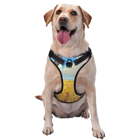 Picia Funny Countryside Donkey No-Pull Dog Harness Reflective Front Clip Vest with Handle,Step-in Air Dog Harness,Adjustable 2 Metal Rings 4 Buckles,Easy to Put on & Take Off Small