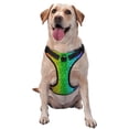 thumbnail image 1 of Picia Glitter Rainbow No-Pull Dog Harness Reflective Front Clip Vest with Handle,Step-in Air Dog Harness,Adjustable 2 Metal Rings 4 Buckles,Easy to Put on & Take Off Large, 1 of 9