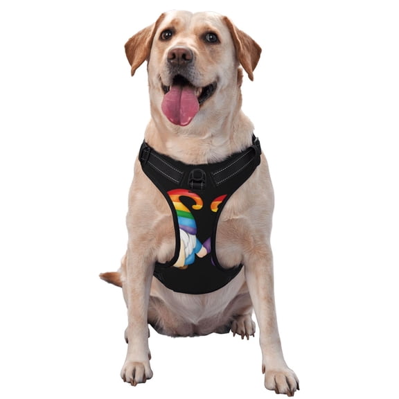 Picia Happy Pride Gnome No-Pull Dog Harness Reflective Front Clip Vest with Handle,Step-in Air Dog Harness,Adjustable 2 Metal Rings 4 Buckles,Easy to Put on & Take Off Large
