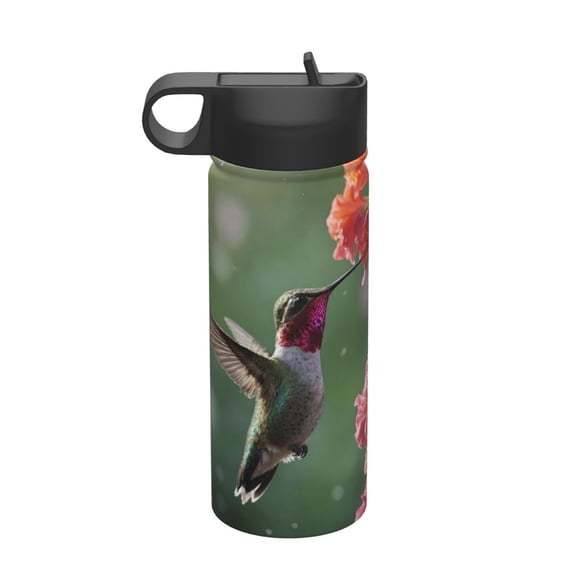 Picia Humming Bird 1 Pattern 18oz Sports Insulated Kettle With Straw Insulated Water Bottle For Running Hiking Cycling Climbing Men'S Woman Insulated Water Bottle