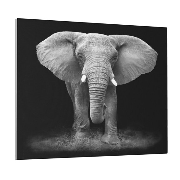Picia Indian Elephant Pattern Decorative Picture – Unique Wall Art, Modern Canvas Print for Trendy Interiors (Horizontal)