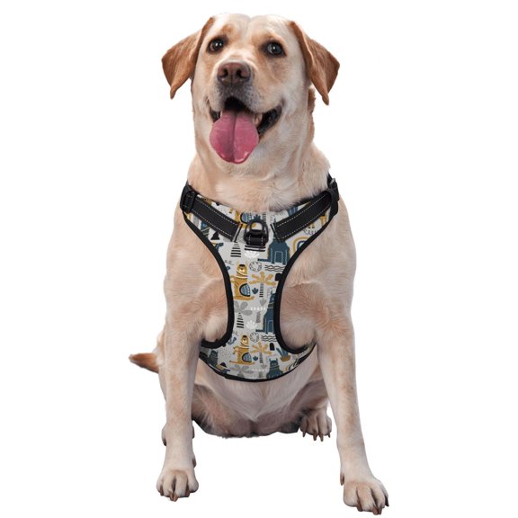 Picia Llama and Cactus1 No-Pull Dog Harness Reflective Front Clip Vest with Handle,Step-in Air Dog Harness,Adjustable 2 Metal Rings 4 Buckles,Easy to Put on & Take Off X-Large