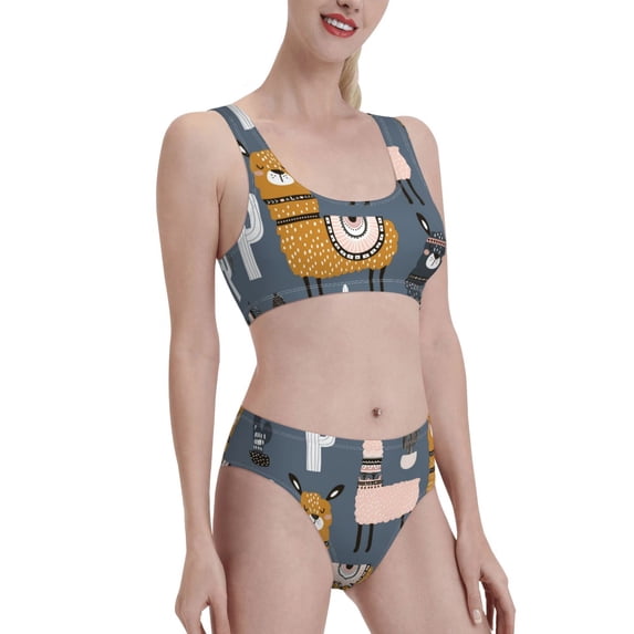 Picia Llama and Cactus Women's High Waisted Bikini Scoop Neck Swimsuit Two Pieces Bathing Suit-Large