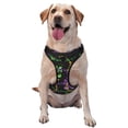 thumbnail image 1 of Picia Mardi Gras6 No-Pull Dog Harness Reflective Front Clip Vest with Handle,Step-in Air Dog Harness,Adjustable 2 Metal Rings 4 Buckles,Easy to Put on & Take Off Small, 1 of 9