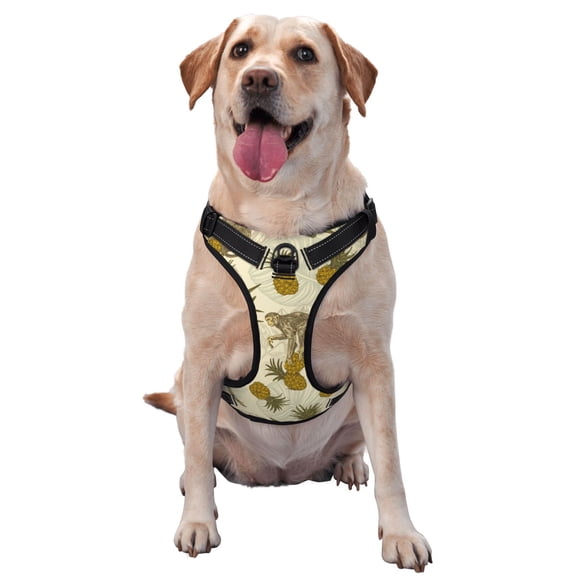 Picia Monkeys and Pinealpples No-Pull Dog Harness Reflective Front Clip Vest with Handle,Step-in Air Dog Harness,Adjustable 2 Metal Rings 4 Buckles,Easy to Put on & Take Off Small