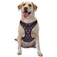 Picia Ping Pong Rackets And Balls NoPull Dog Harness Reflective Front