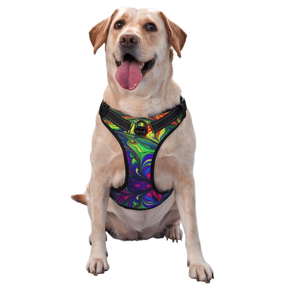 Picia Pride Rainbow No-Pull Dog Harness Reflective Front Clip Vest with Handle,Step-in Air Dog Harness,Adjustable 2 Metal Rings 4 Buckles,Easy to Put on & Take Off Small